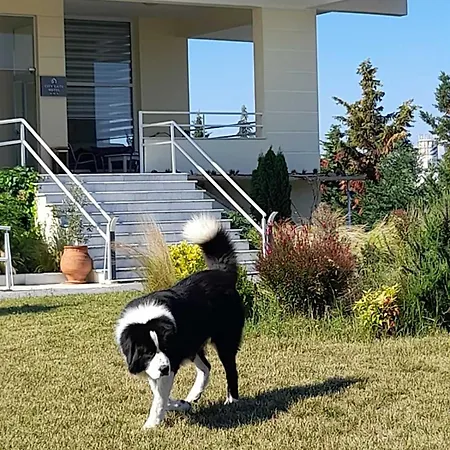 Hotel Gate Airport 3*