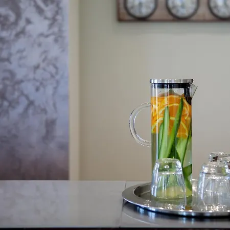 Gate Airport Hotel